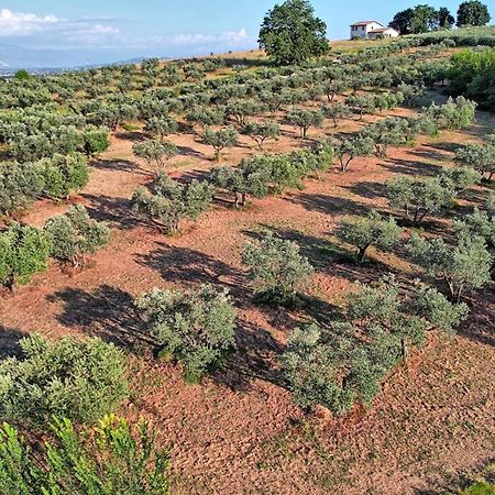 Agriturismo Incanto Della Natura Cannara Eksteriør billede