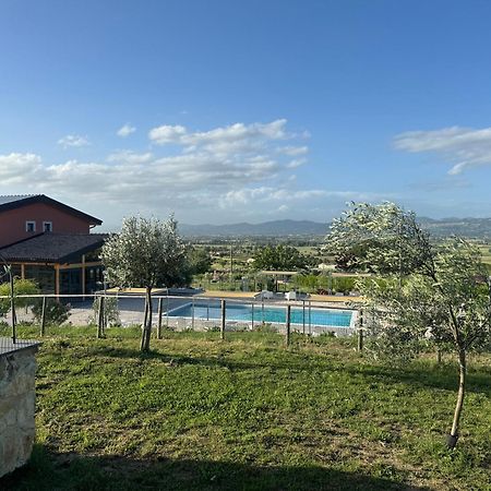 Agriturismo Incanto Della Natura Cannara Eksteriør billede